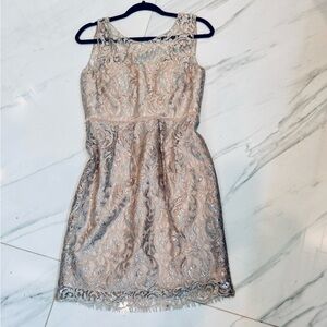 Elegant Lace Dress in Cream and Silver